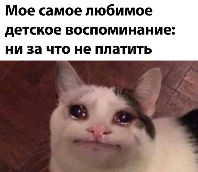Смешные картинки 22 июня 2020