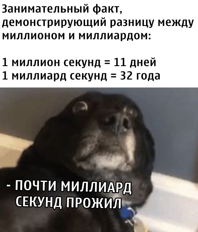 Смешные фотографии вечер 1 июля 2020