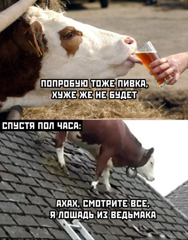 Смешные фотографии вечер 1 июля 2020