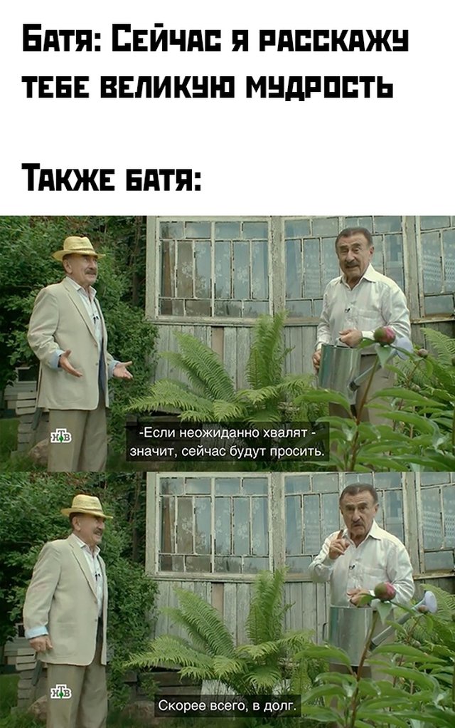 Смешные фотографии вечер 1 июля 2020