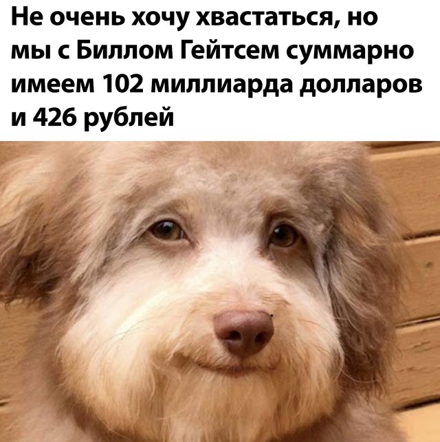 Смешные картинки 3 июля 2020