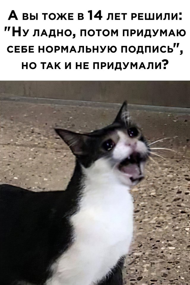 Смешные картинки 3 июля 2020