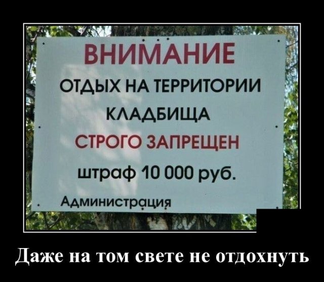 Демотиваторы 6 июля 2020