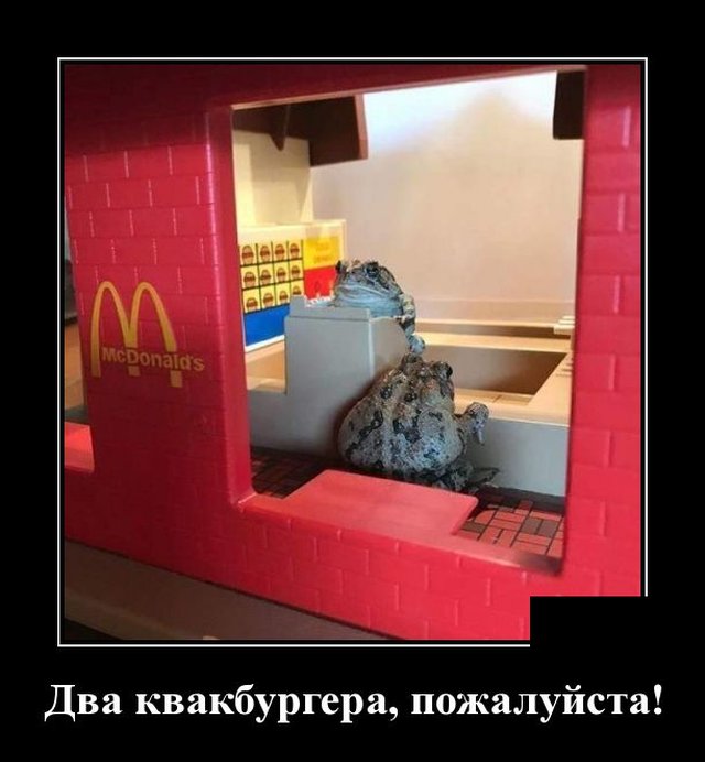 Демотиваторы 6 июля 2020