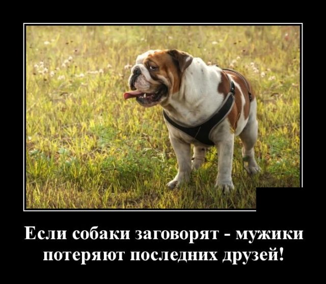 Демотиваторы 6 июля 2020