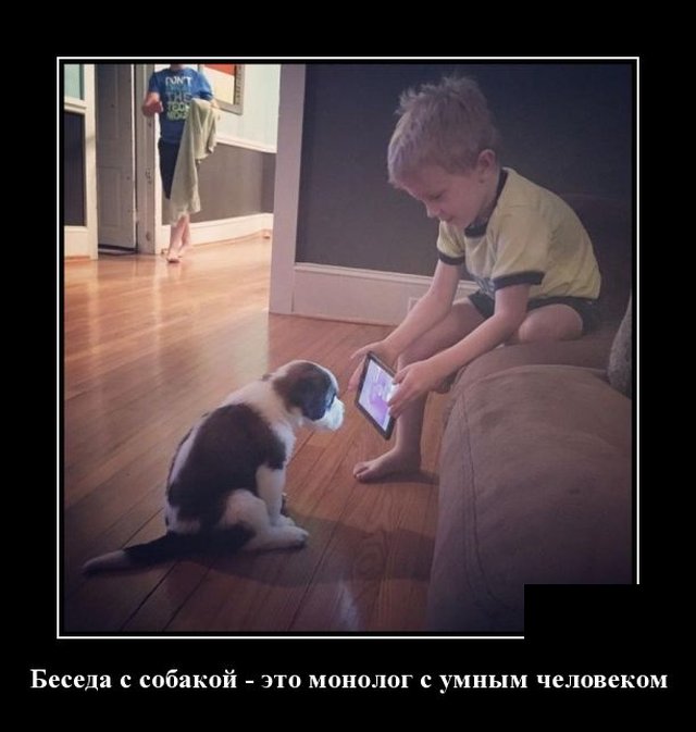 Демотиваторы 6 июля 2020