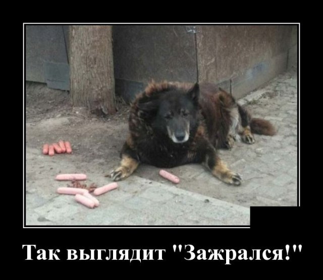 Демотиваторы 6 июля 2020