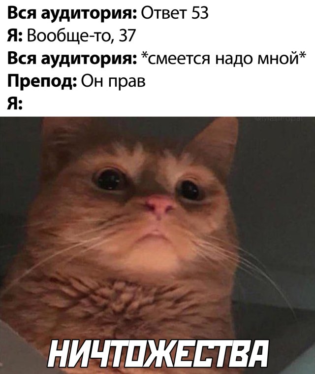 Смешные фото 6 июля 2020