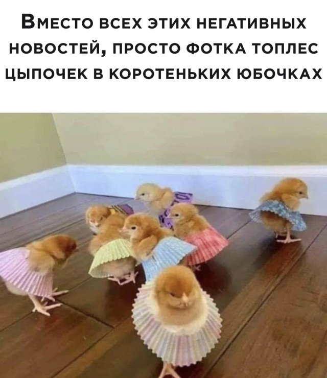 Смешные фото 6 июля 2020