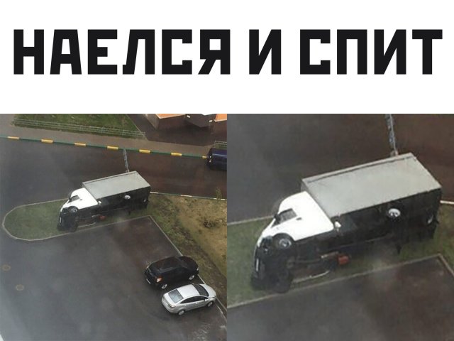 Смешные картинки 8 июля 2020