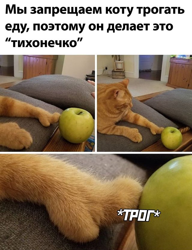 Смешные фото вечер 9 июля 2020