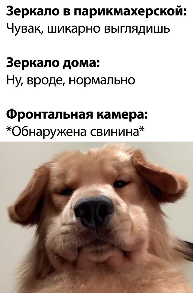 Смешные фото вечер 9 июля 2020