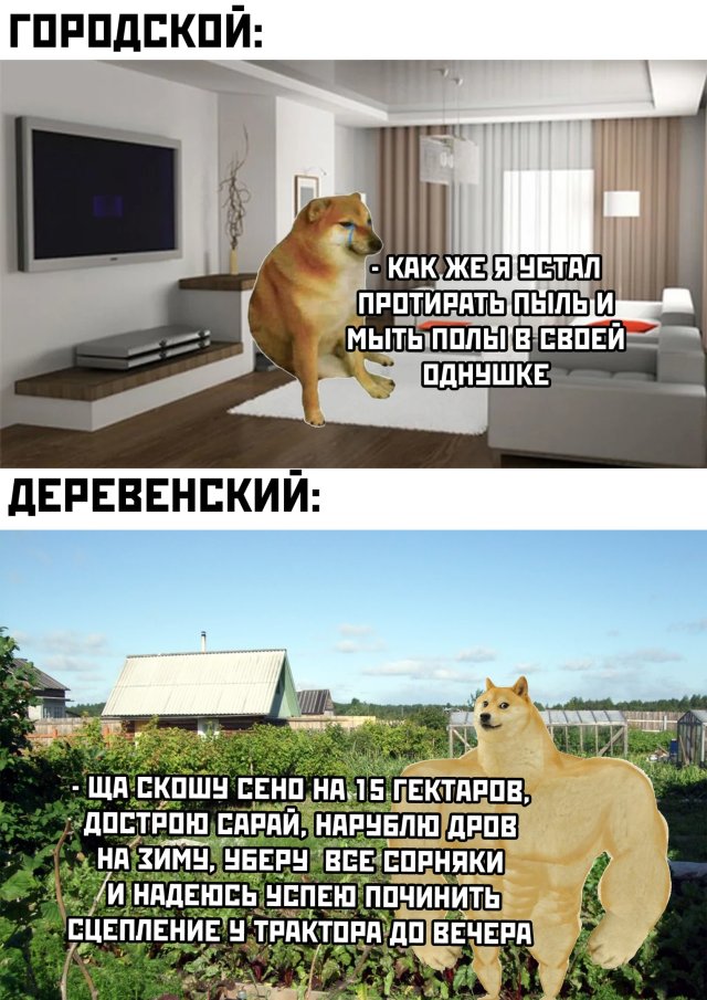 Смешные фото вечер 9 июля 2020