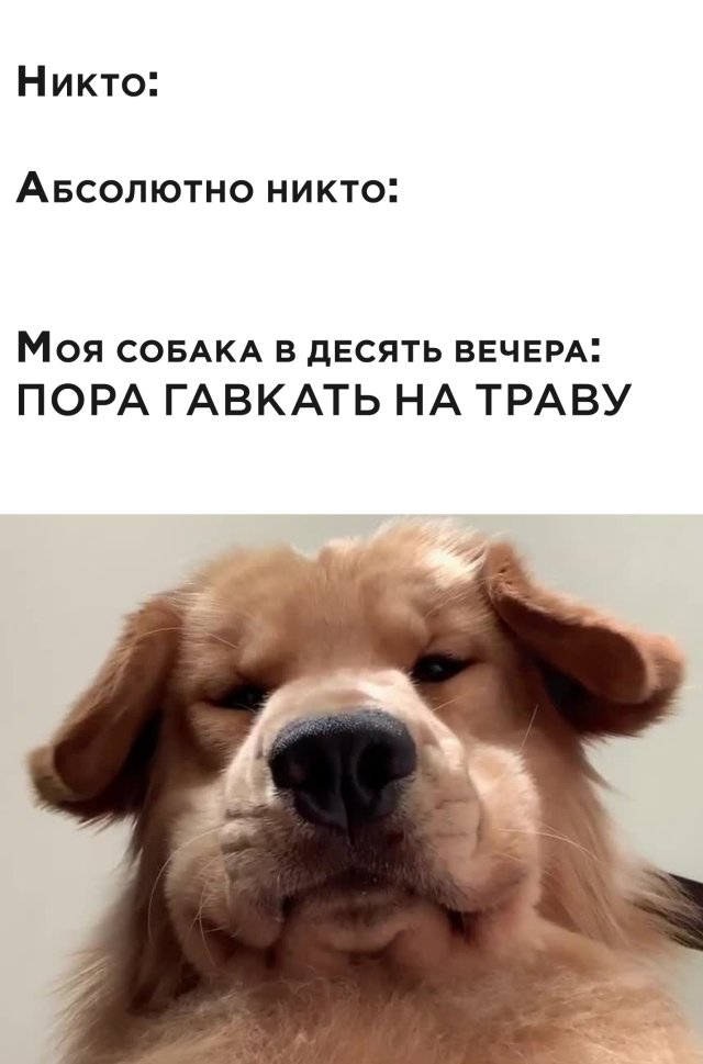 Смешные картинки 10 июля 2020