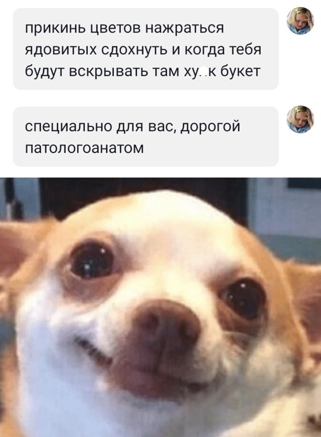 Смешные картинки 10 июля 2020