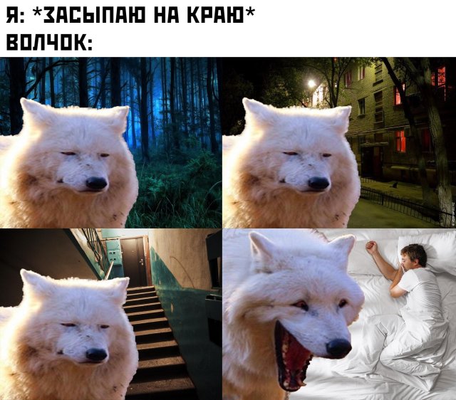 Смешные фото вечер 10 июля 2020