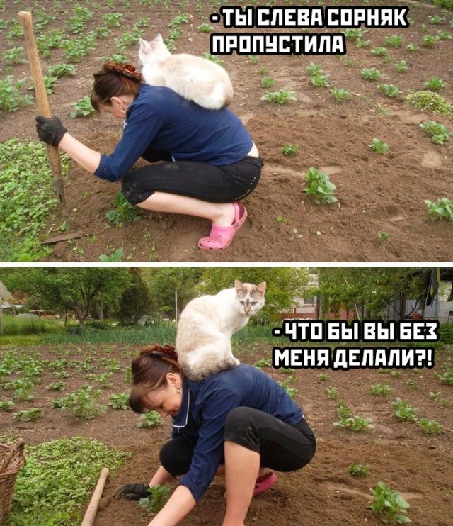 Смешные фото вечер 10 июля 2020