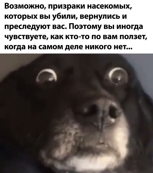 Смешные фото вечер 10 июля 2020