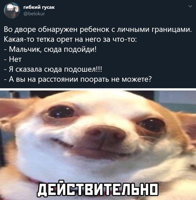 Смешные картинки 15 июля 2020 года