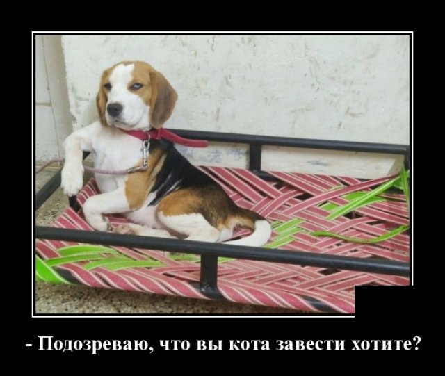 Демотиваторы 16 июля 2020