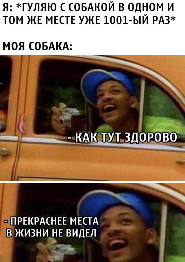 Смешные картинки 29 июля 2020