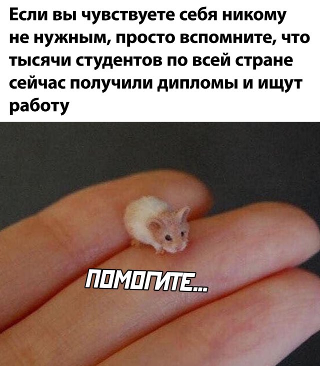 Смешные картинки 29 июля 2020