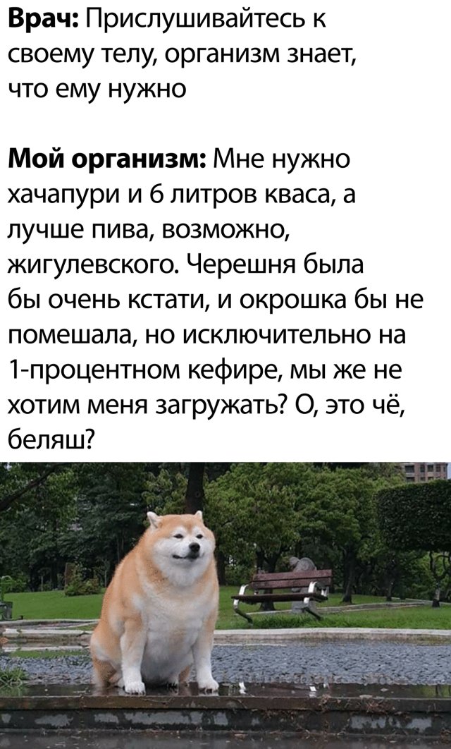 Смешные картинки 29 июля 2020