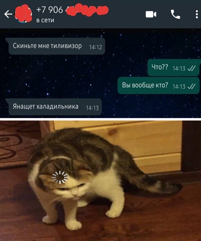 Смешные картинки 29 июля 2020