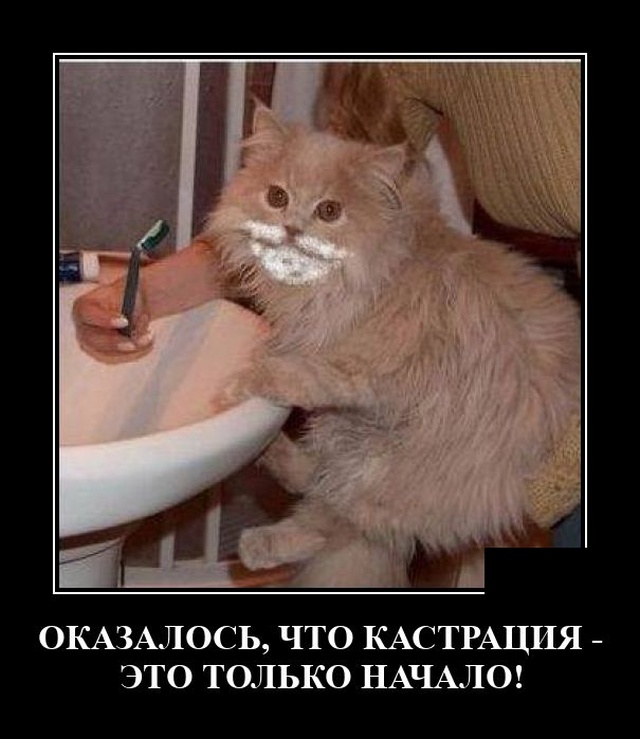 Демотиваторы 31 июля 2020