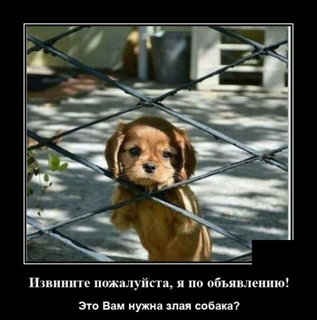Демотиваторы 31 июля 2020