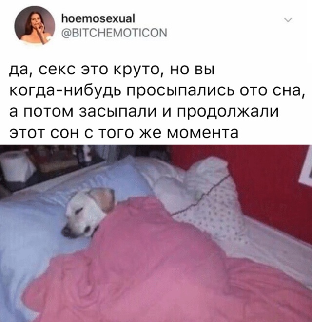 Смешные картинки 3 августа 2020
