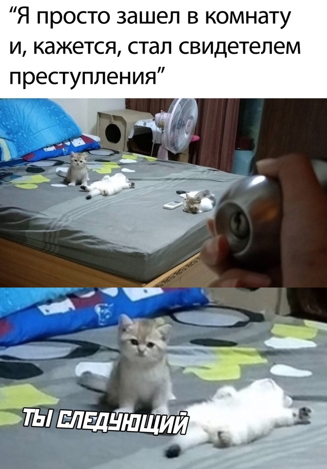 Смешные картинки 3 августа 2020