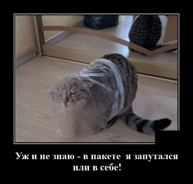 Демотиваторы 3 августа 2020