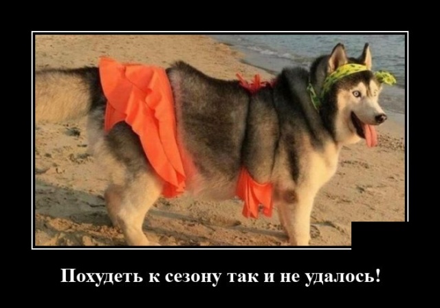 Демотиваторы 3 августа 2020
