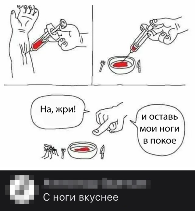 Веселые картинки вечер 6 августа 2020