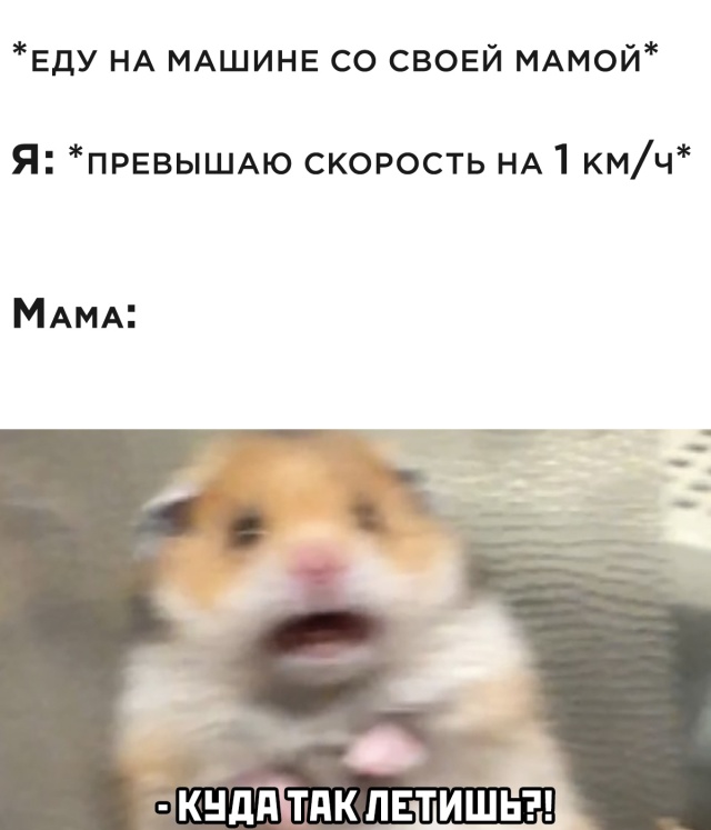 Веселые картинки вечер 6 августа 2020