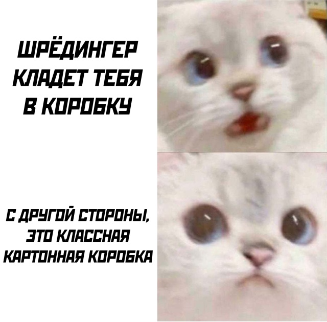 Веселые картинки вечер 6 августа 2020