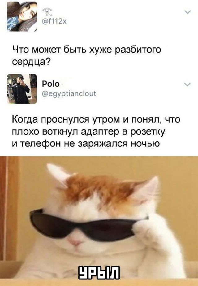 Смешные фото вечер 18 августа 2020