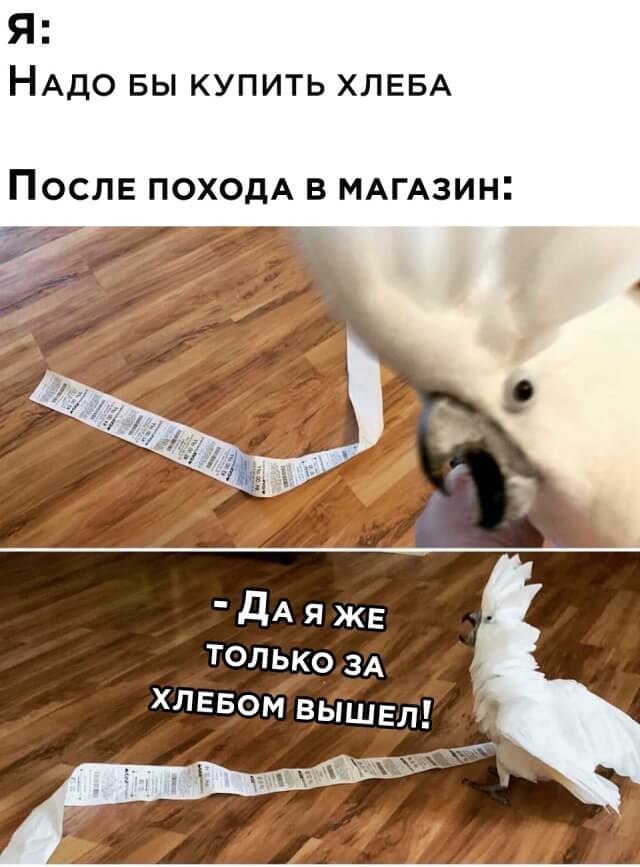 Смешные картинки 19 августа 2020