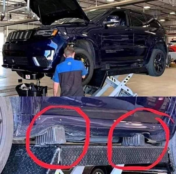 Смешные картинки 19 августа 2020