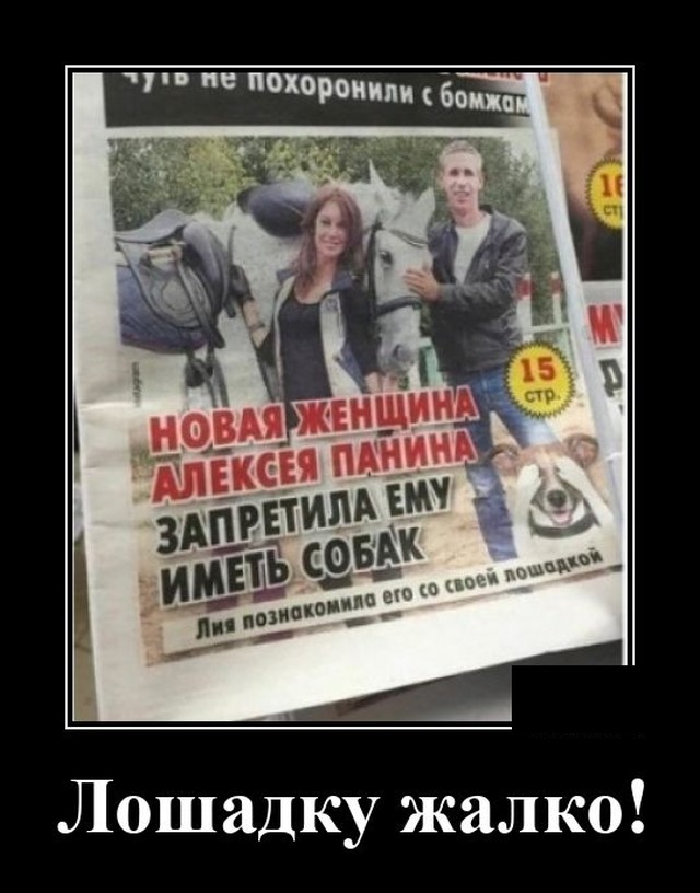 Демотиватор про Панина