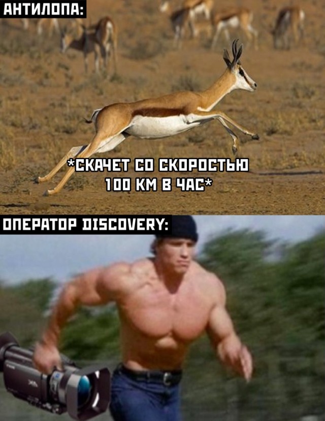 Оператор Discovery и антилопа