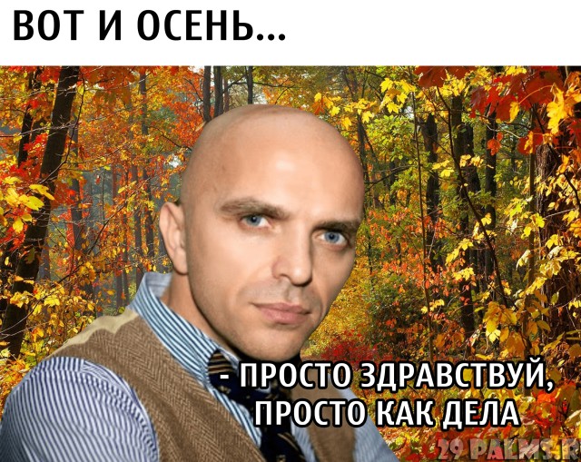 Вот и осень наступила