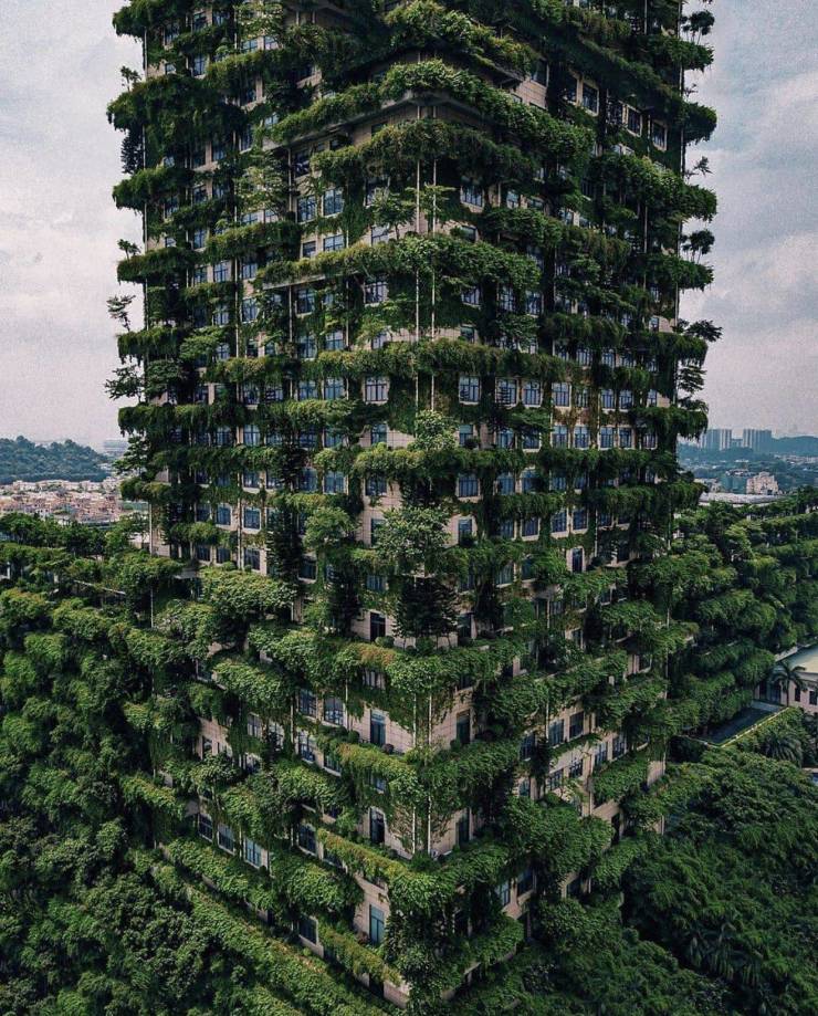 Зеленая многоэтажка