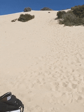 На доске по песку