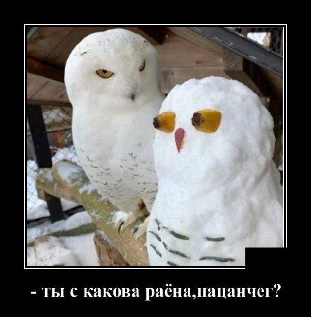 Демотиватор про пацанов с района