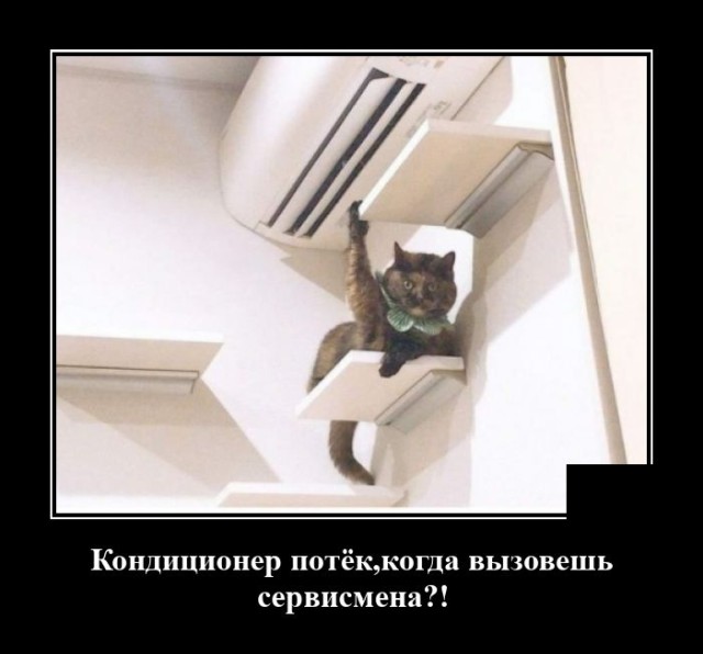 Демотиватор про кота и кондиционер