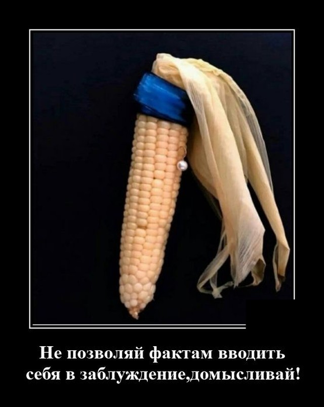 Демотиватор про факты и заблуждение