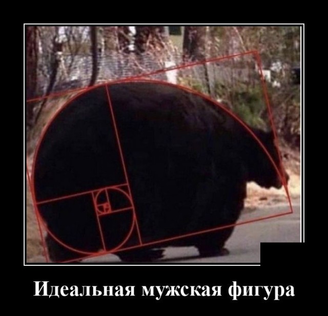 Демотиватор про идеальную фигуру