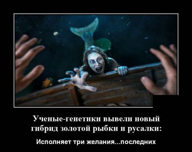 Демотиватор про русалку